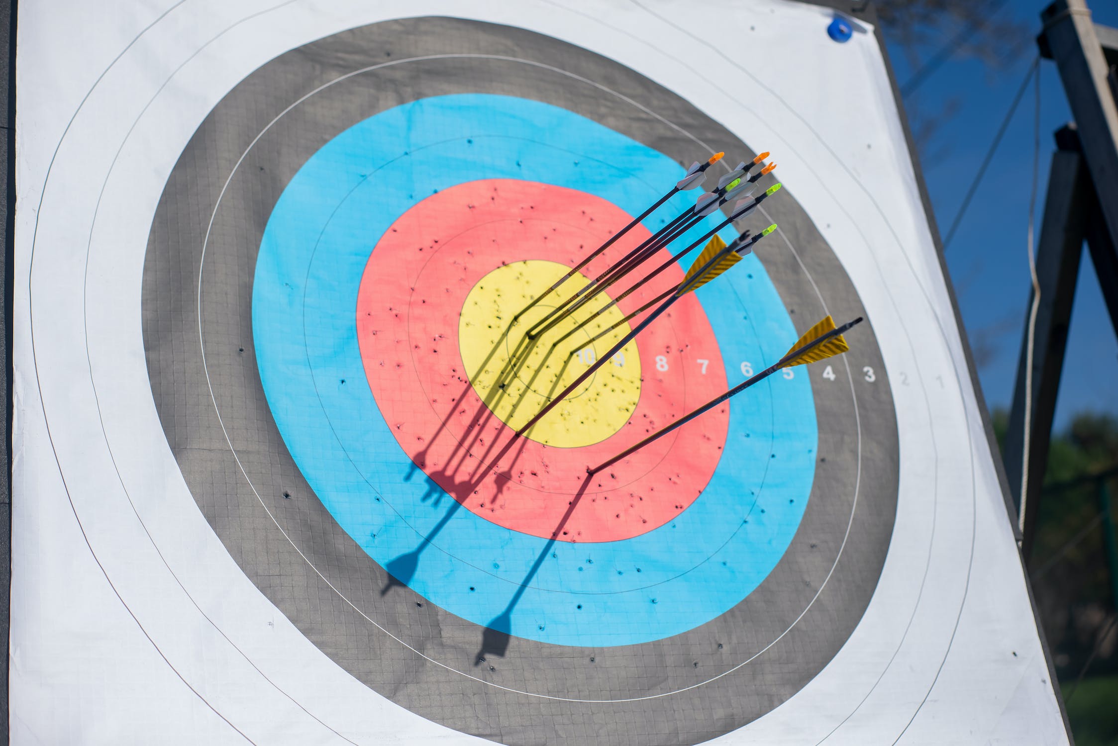 Top 5 Bows for Aspiring Archers: Affordable Beginner Picks