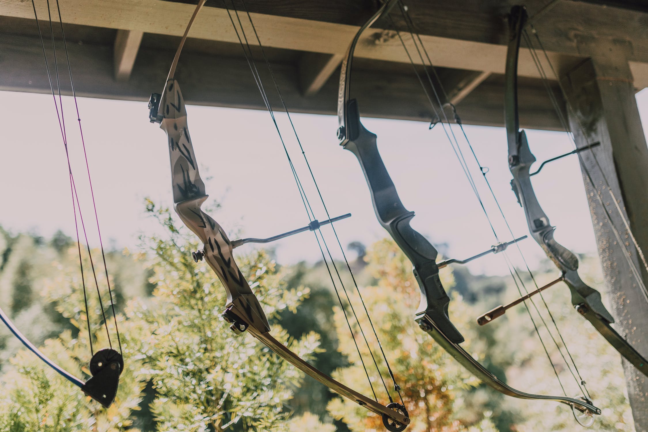 Aim with Precision: The Top 3 Best Compound Bows